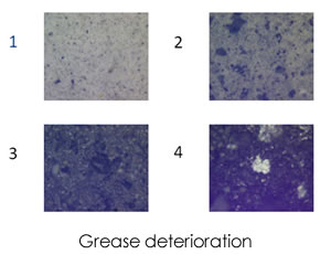 著細鐵和磁性磨損顆粒的增加，回轉軸承的惡化，第四張圖像顯示潤滑脂完全干燥
